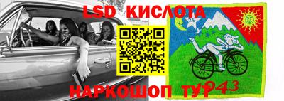 дурь Сланцы
