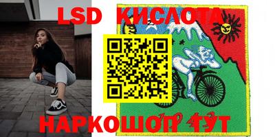 дурь Сланцы