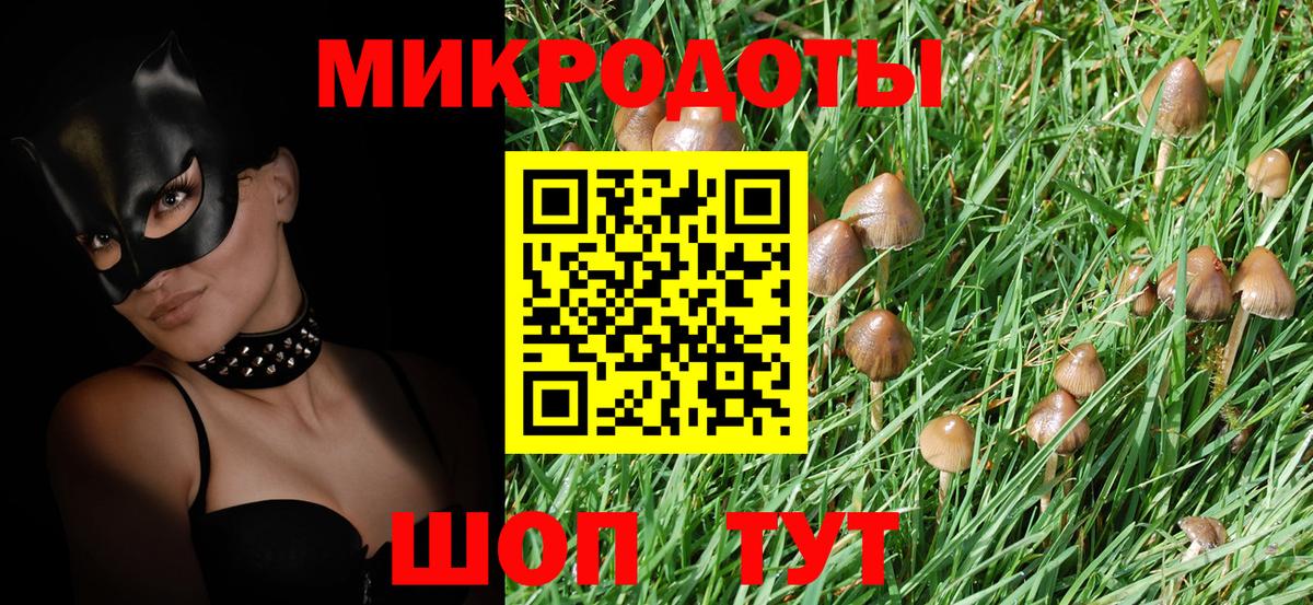 Галлюциногенные грибы GOLDEN TEACHER Осинники