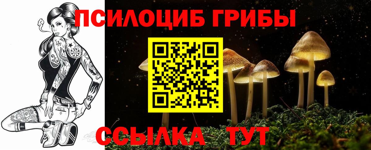Осинники  Галлюциногенные грибы Cubensis  Галлюциногенные грибы прущие грибы  купить  сайты  Вход с VPN 
